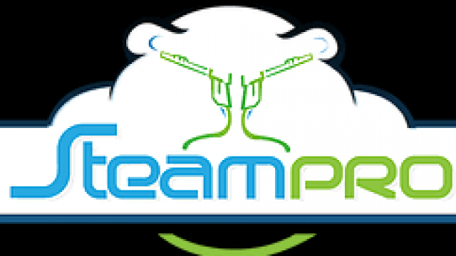 SteamPro Mobile Car Valeting